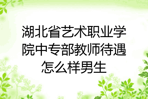 湖北省艺术职业学院中专部教师待遇怎么样男生