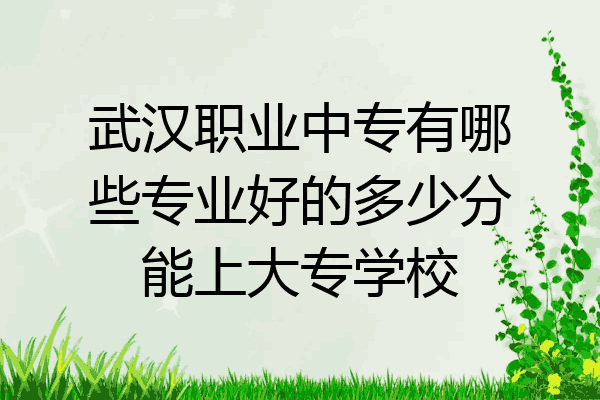 武汉职业中专有哪些专业好的多少分能上大专学校