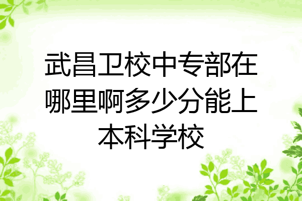 武昌卫校中专部在哪里啊多少分能上本科学校