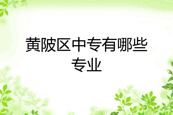 黄陂区中专有哪些专业