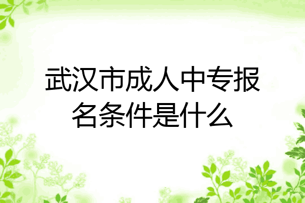 武汉市成人中专报名条件是什么