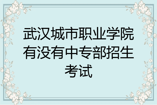 武汉城市职业学院有没有中专部招生考试