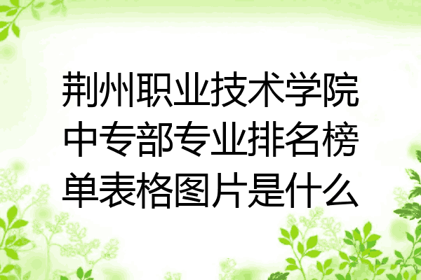 荆州职业技术学院中专部专业排名榜单表格图片是什么