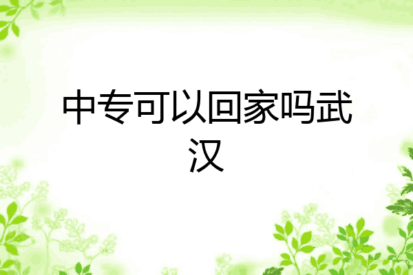 中专可以回家吗武汉