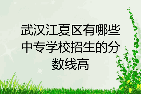 武汉江夏区有哪些中专学校招生的分数线高
