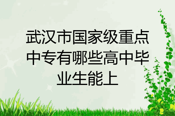 武汉市国家级重点中专有哪些高中毕业生能上