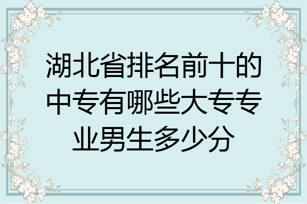 湖北省排名前十的中专有哪些大专专业男生多少分