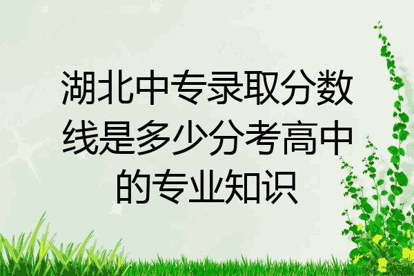 湖北中专录取分数线是多少分考高中的专业知识