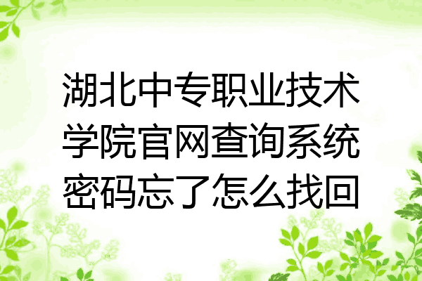 湖北中专职业技术学院官网查询系统密码忘了怎么找回