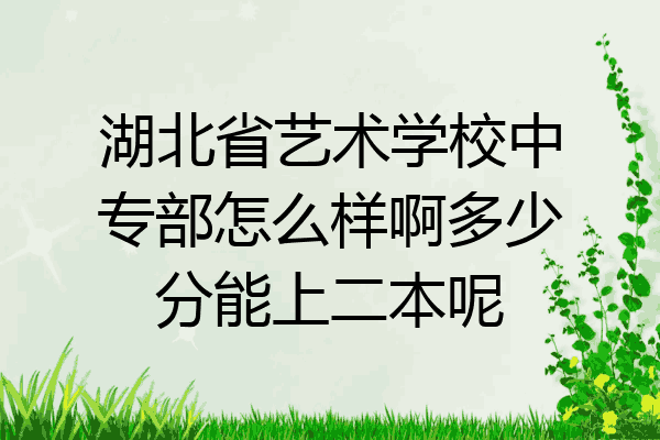 湖北省艺术学校中专部怎么样啊多少分能上二本呢