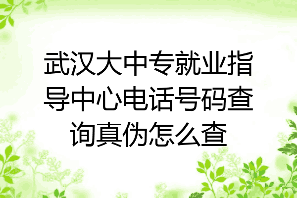 武汉大中专就业指导中心电话号码查询真伪怎么查