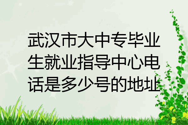 武汉市大中专毕业生就业指导中心电话是多少号的地址