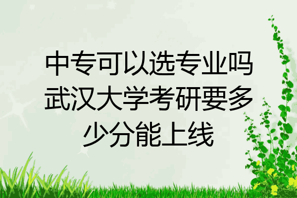 中专可以选专业吗武汉大学考研要多少分能上线
