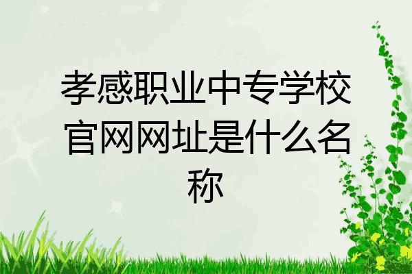 孝感职业中专学校官网网址是什么名称