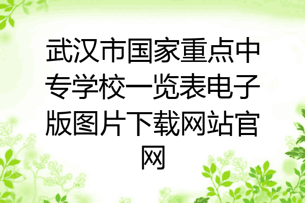 武汉市国家重点中专学校一览表电子版图片下载网站官网