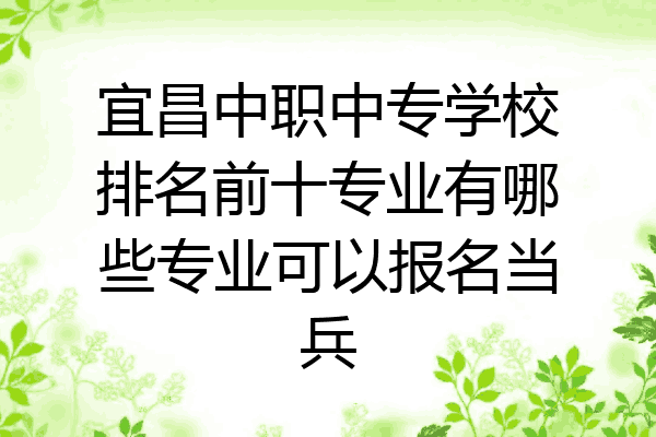 宜昌中职中专学校排名前十专业有哪些专业可以报名当兵