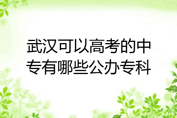 武汉可以高考的中专有哪些公办专科