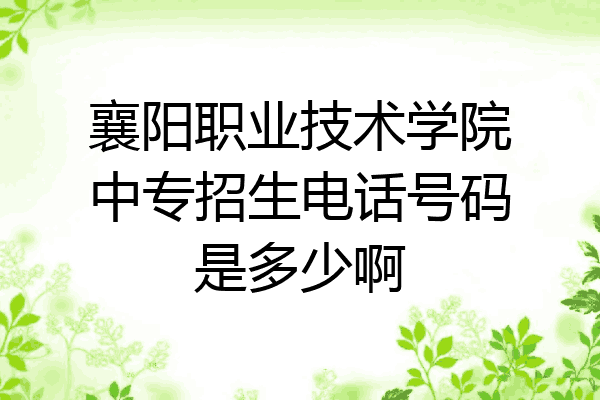 襄阳职业技术学院中专招生电话号码是多少啊
