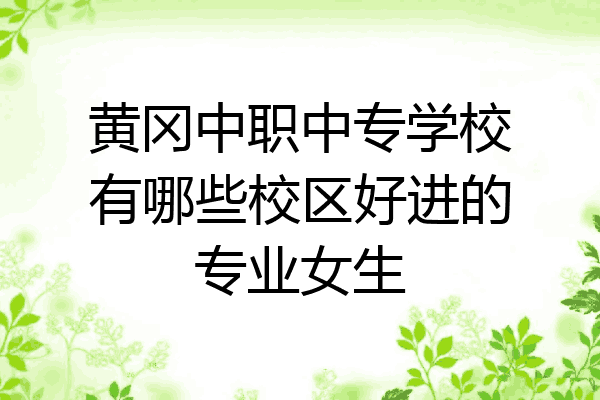 黄冈中职中专学校有哪些校区好进的专业女生
