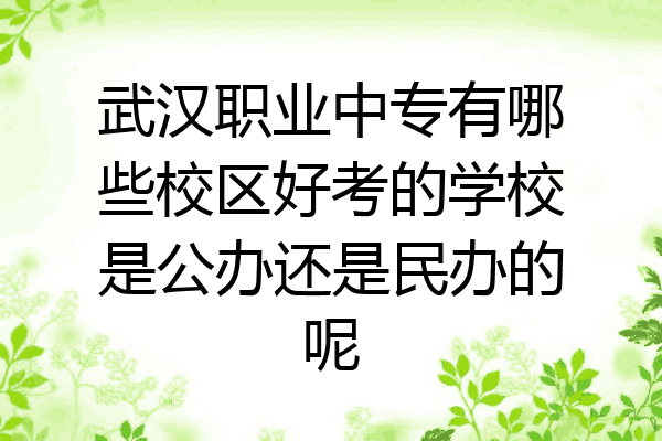 武汉职业中专有哪些校区好考的学校是公办还是民办的呢