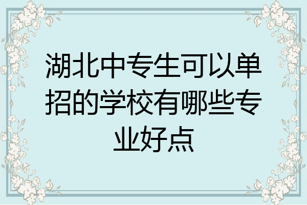 湖北中专生可以单招的学校有哪些专业好点