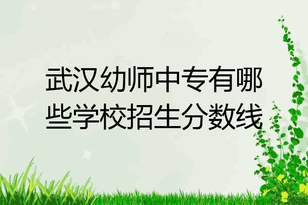 武汉幼师中专有哪些学校招生分数线