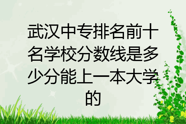 武汉中专排名前十名学校分数线是多少分能上一本大学的