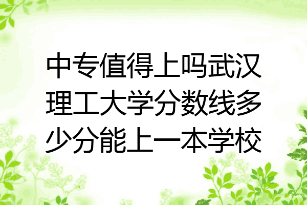 中专值得上吗武汉理工大学分数线多少分能上一本学校