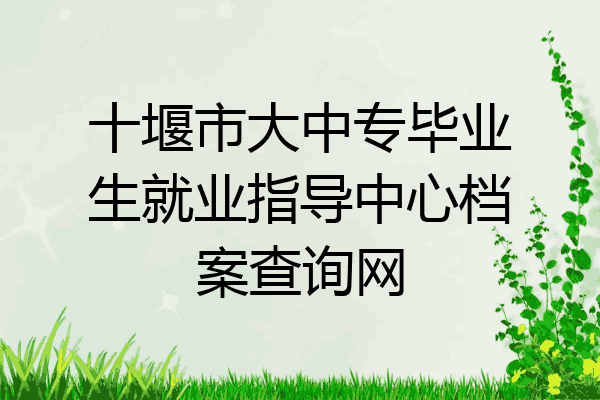 十堰市大中专毕业生就业指导中心档案查询网