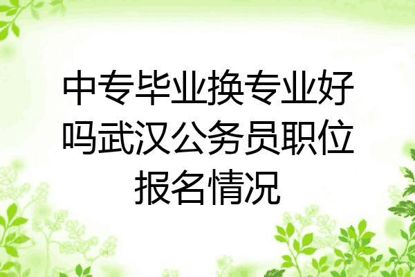 中专毕业换专业好吗武汉公务员职位报名情况