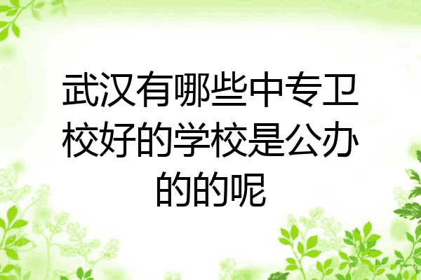 武汉有哪些中专卫校好的学校是公办的的呢