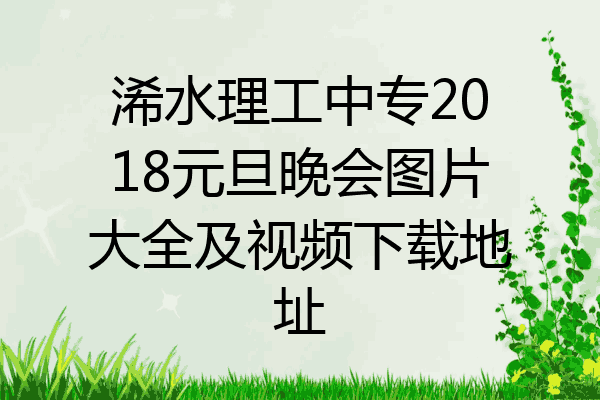浠水理工中专2018元旦晚会图片大全及视频下载地址