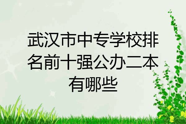 武汉市中专学校排名前十强公办二本有哪些