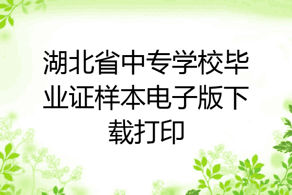 湖北省中专学校毕业证样本电子版下载打印