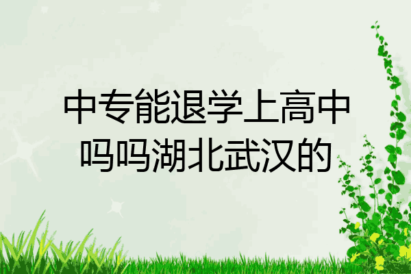 中专能退学上高中吗吗湖北武汉的