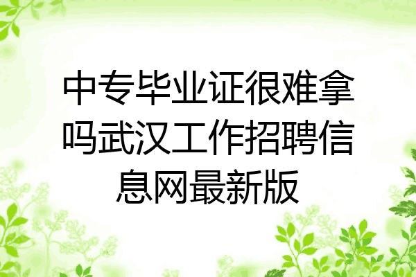 中专毕业证很难拿吗武汉工作招聘信息网最新版