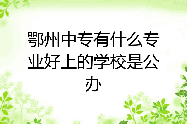 鄂州中专有什么专业好上的学校是公办