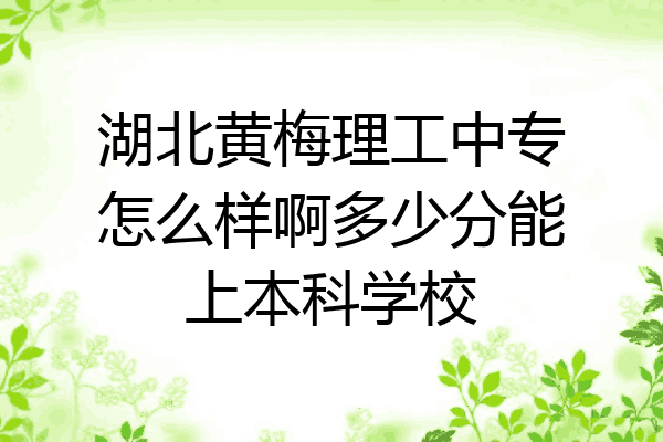 湖北黄梅理工中专怎么样啊多少分能上本科学校