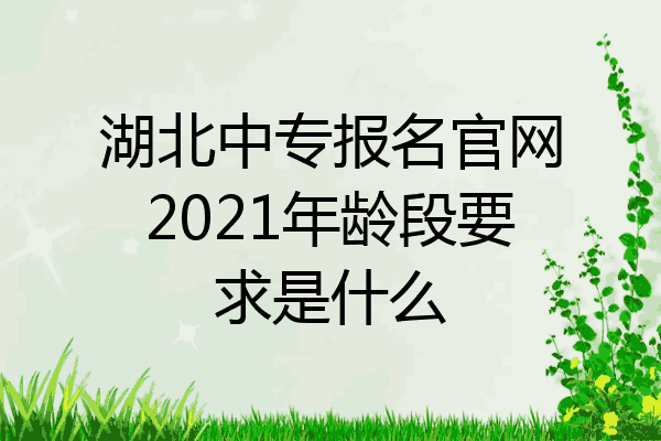 湖北中专报名官网2021年龄段要求是什么