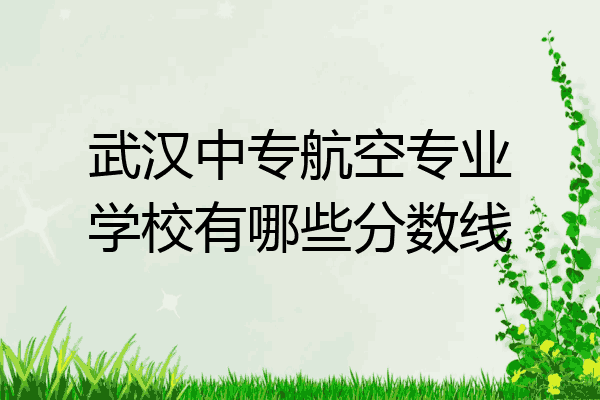 武汉中专航空专业学校有哪些分数线