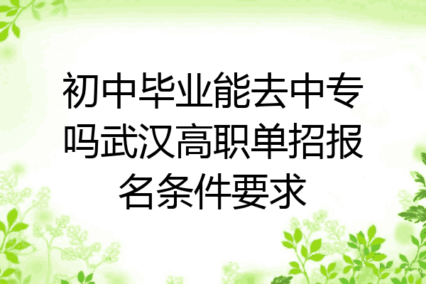 初中毕业能去中专吗武汉高职单招报名条件要求