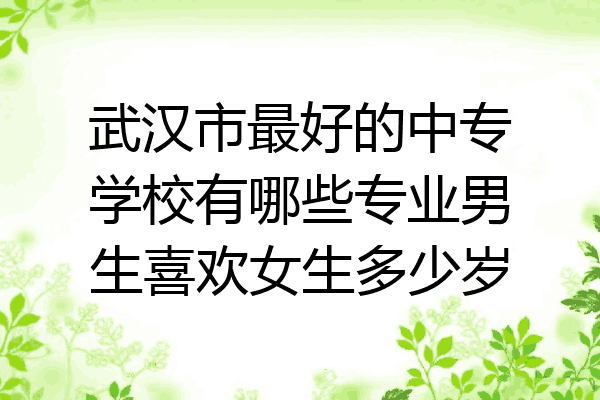 武汉市最好的中专学校有哪些专业男生喜欢女生多少岁