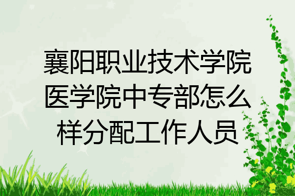 襄阳职业技术学院医学院中专部怎么样分配工作人员