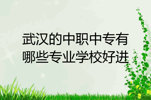 武汉的中职中专有哪些专业学校好进