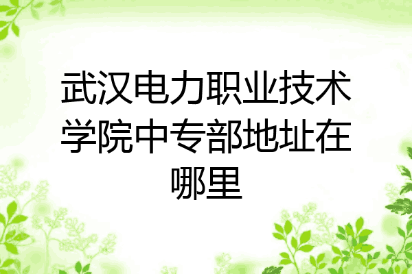 武汉电力职业技术学院中专部地址在哪里