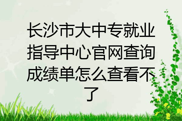 长沙市大中专就业指导中心官网查询成绩单怎么查看不了