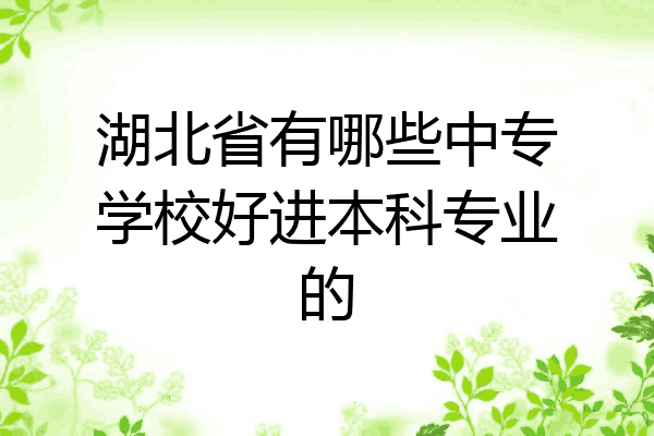 湖北省有哪些中专学校好进本科专业的
