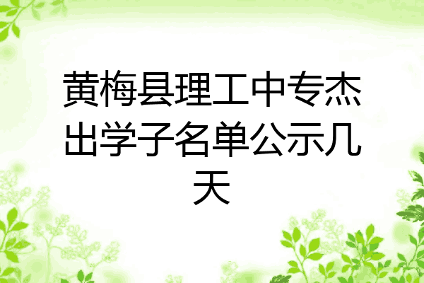 黄梅县理工中专杰出学子名单公示几天
