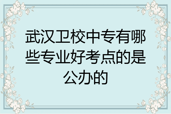 武汉卫校中专有哪些专业好考点的是公办的