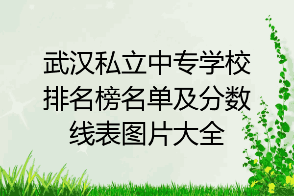 武汉私立中专学校排名榜名单及分数线表图片大全